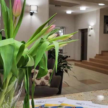 *** Nat 3* Wisła
